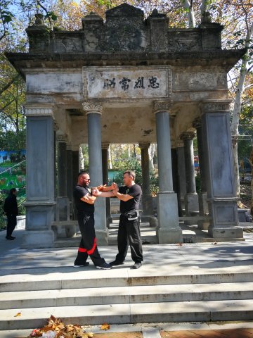 bagoly tiborék kínában 40